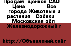 Продам ,щенков САО. › Цена ­ 30 000 - Все города Животные и растения » Собаки   . Московская обл.,Железнодорожный г.